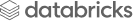 Databricks Partner